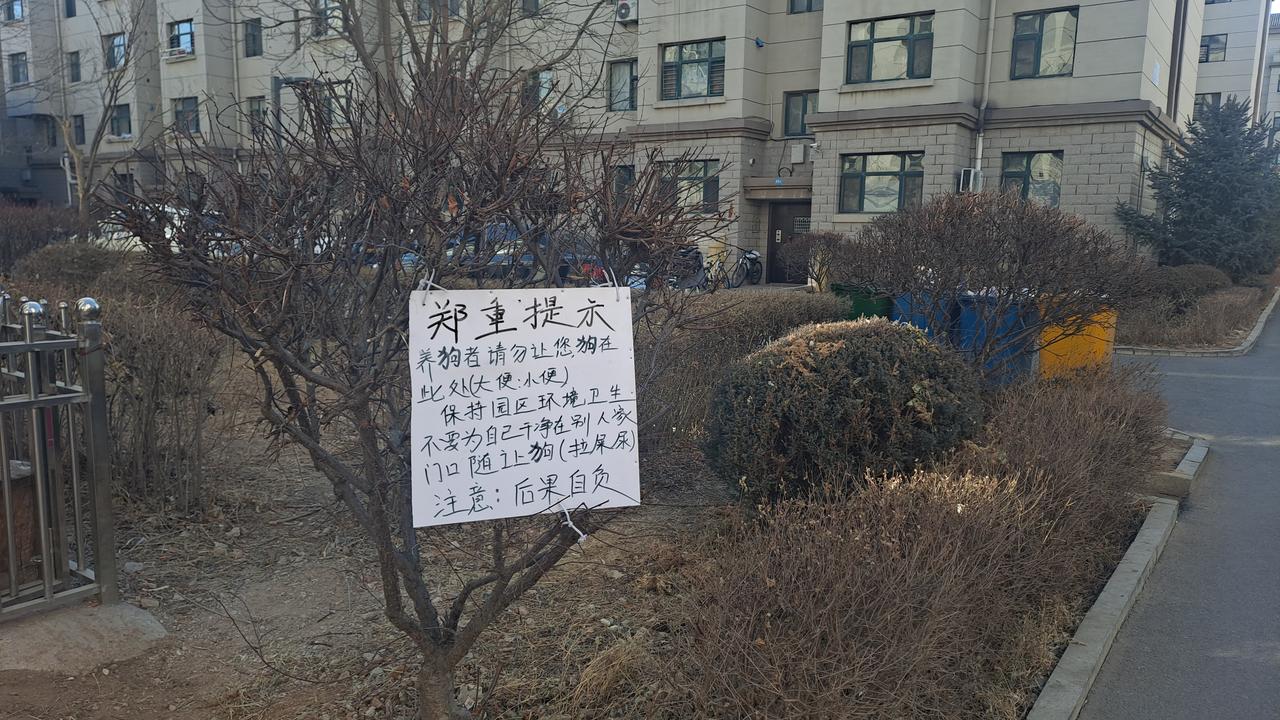 爱护环境，身边做起。
家园就是最美丽的，大家仔细看，你家周围是不是也有养狗的？看