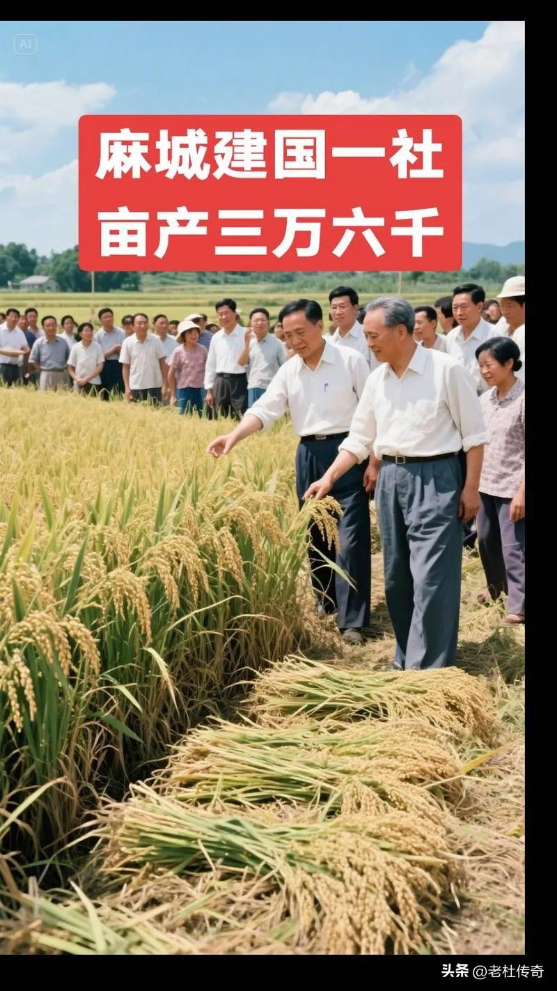 新中国成立初期、三农、农村金融互助的基层探索
为了破解农民生产资金短缺的难题，各