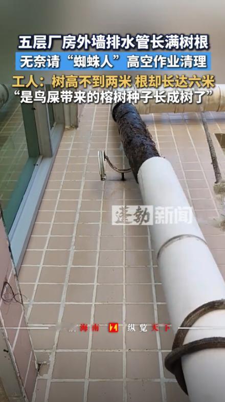 “活久见！”9 月 13 日，广东汕尾，一厂房 4 楼以下排水正常，上方却发生堵