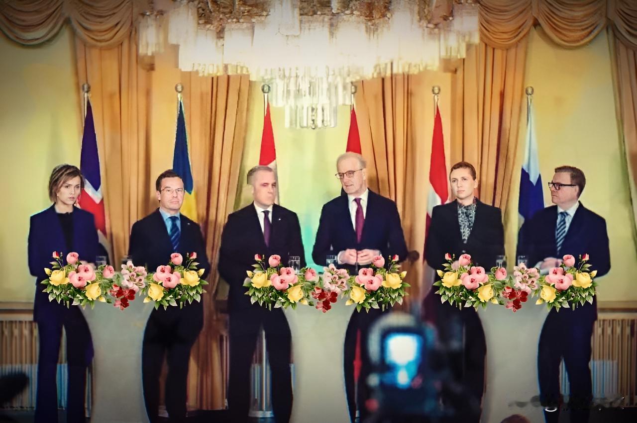 中等强国新联盟正式成型，
六国加强协调，抱团合作！

3月15日，加拿大、挪威、