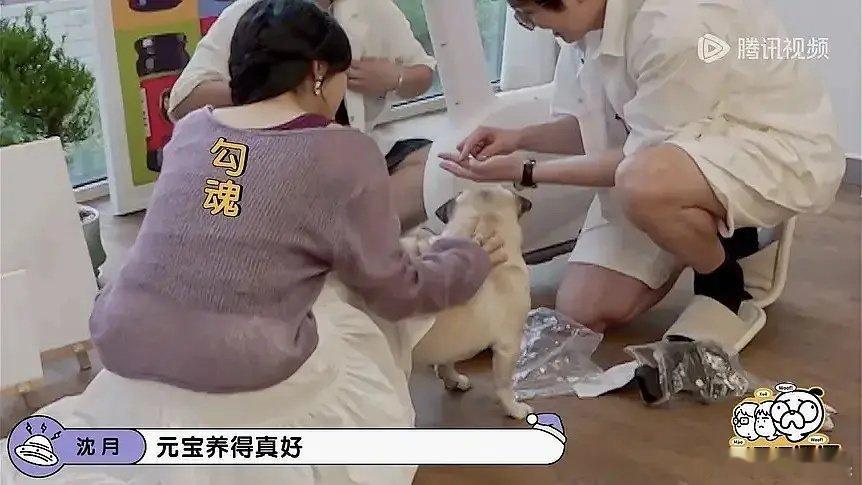 沈月是不是把自己养的挺好的？看这腰 ​​​