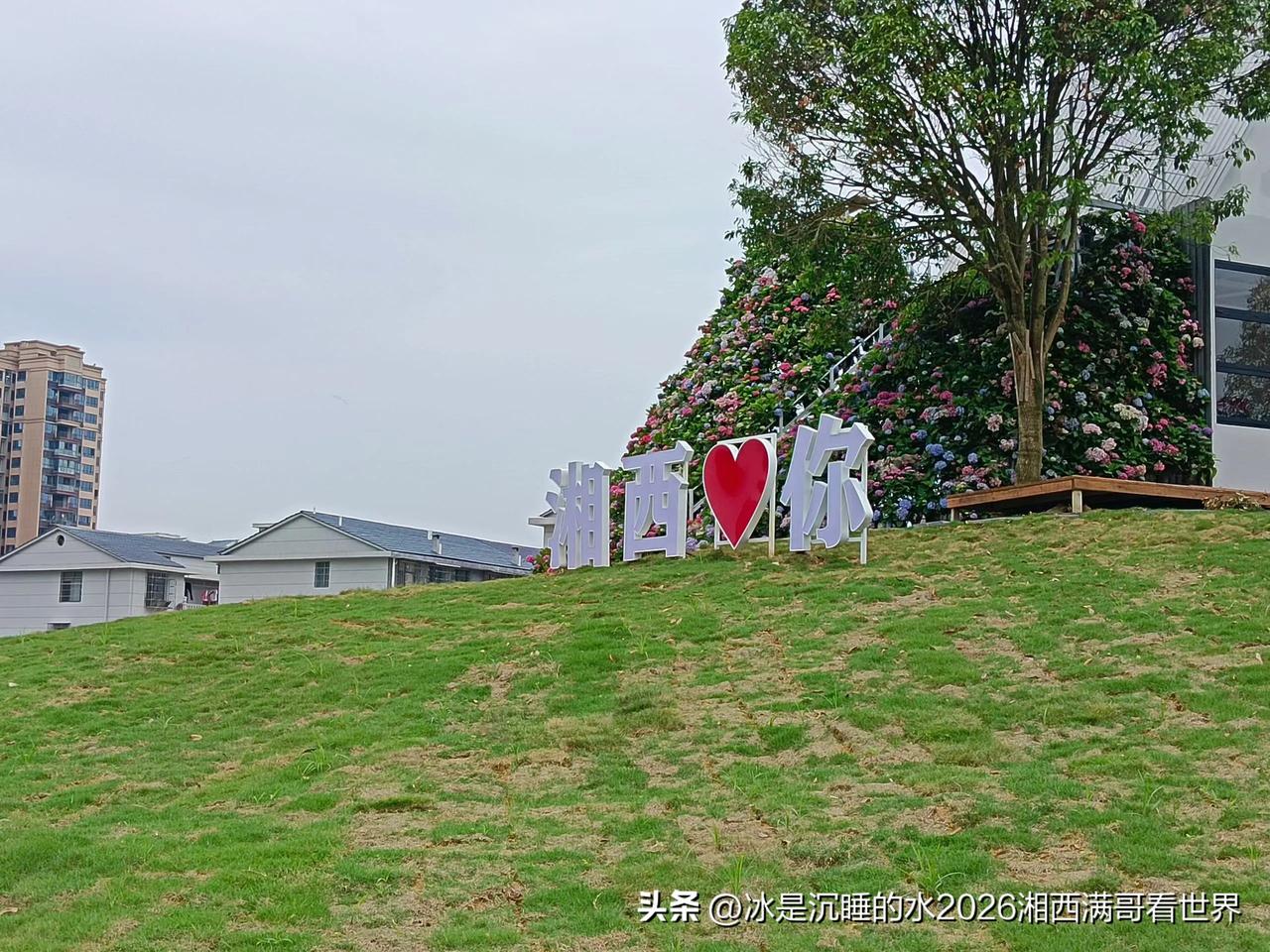 今天走马观花去新的网红打卡地“吉首中央花园”逛了一圈，感觉很好。草地、假山、各类