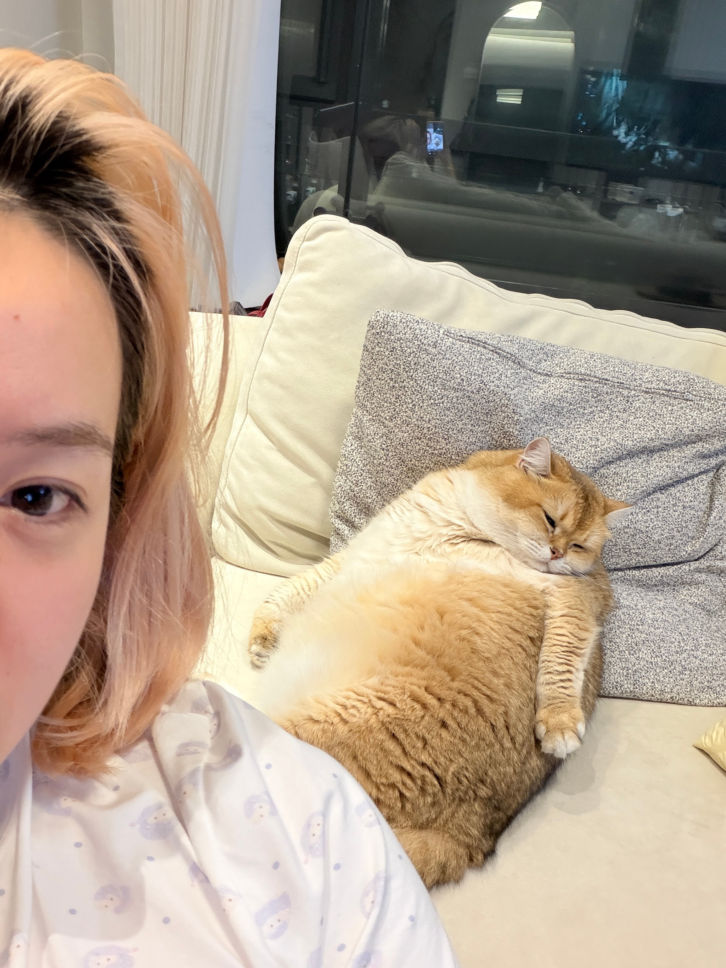 我最近把咪子们都放出来玩了，昨晚我就坐在这个椅子上看剧，然后一回头，四个小家伙就
