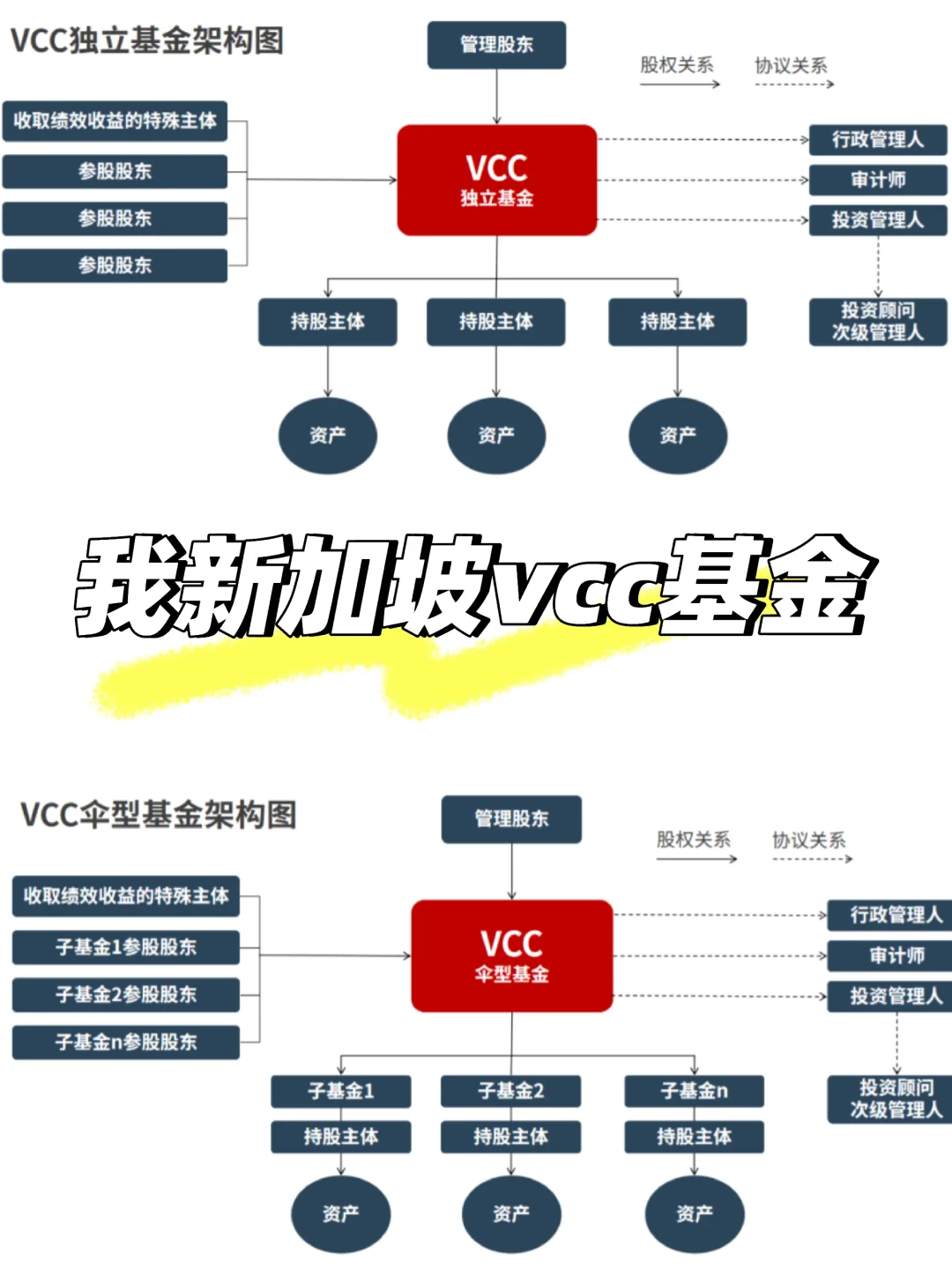 新加坡vcc基金财务管理新宠🔥