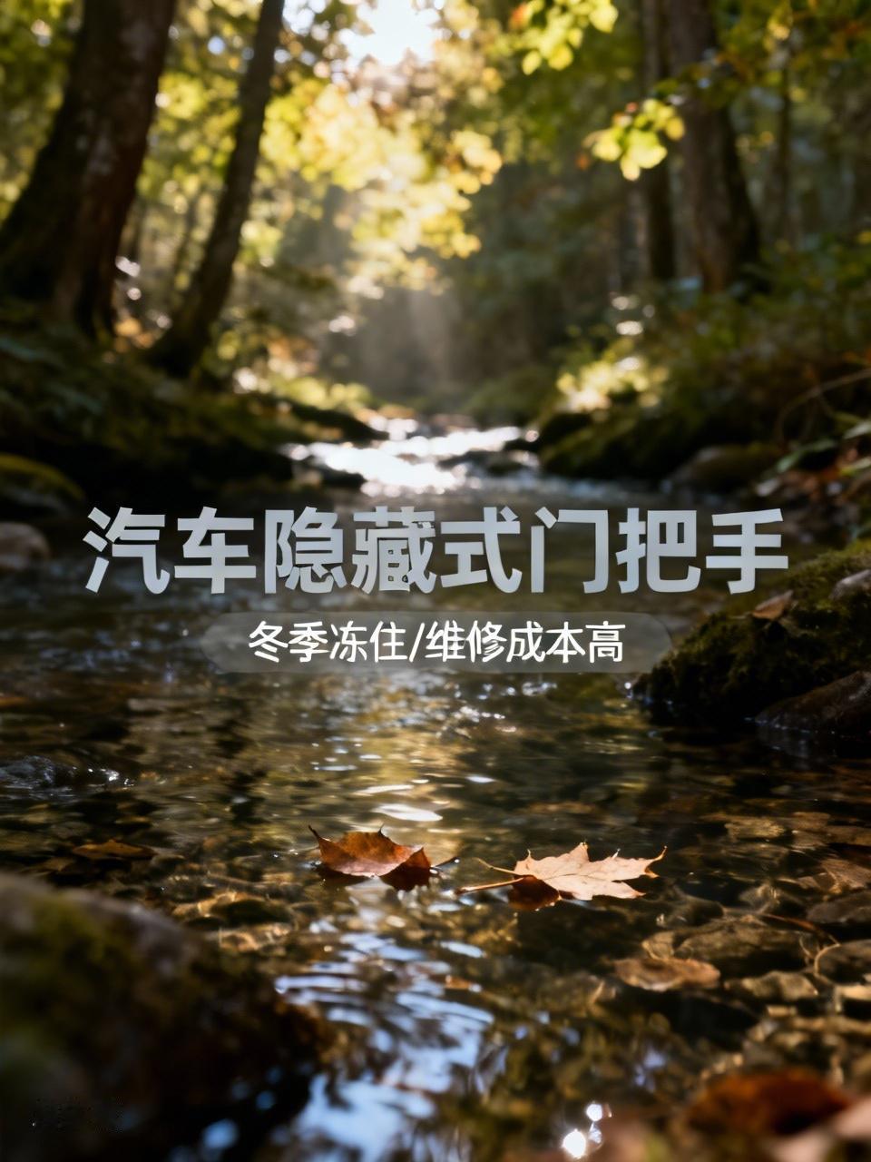 媒体：对汽车隐藏式门把手说“不” 媒体呼吁对汽车隐藏式门把手说“不”，我举双手赞