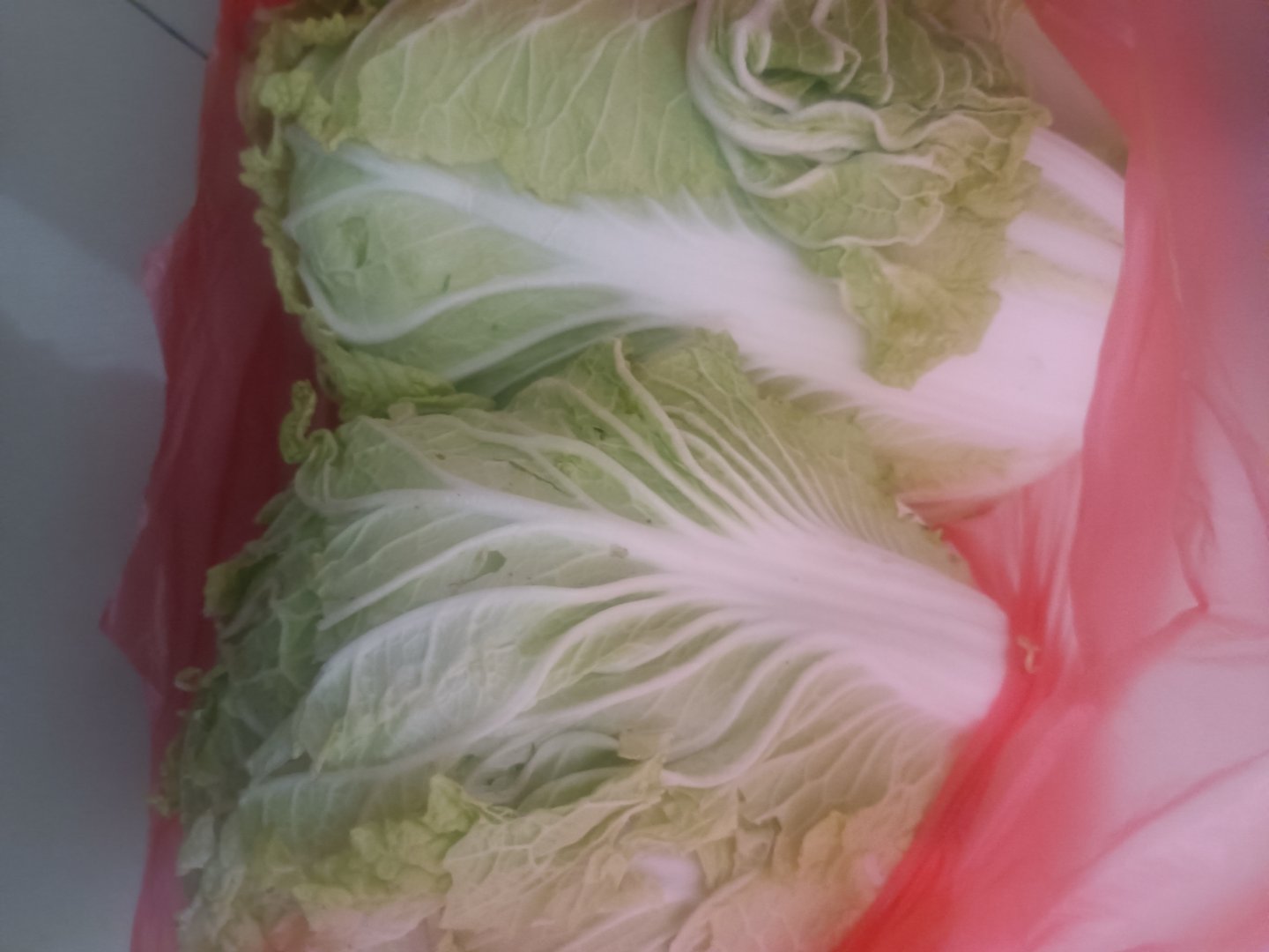 白菜终于是白菜价了，白菜一块钱一颗。 