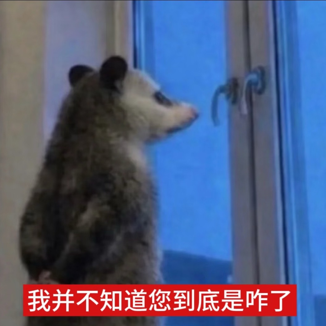 比较好奇 谁会喜欢外包 天天招聘 招聘不来一个身边的好人吗 光招聘外包了是吧 