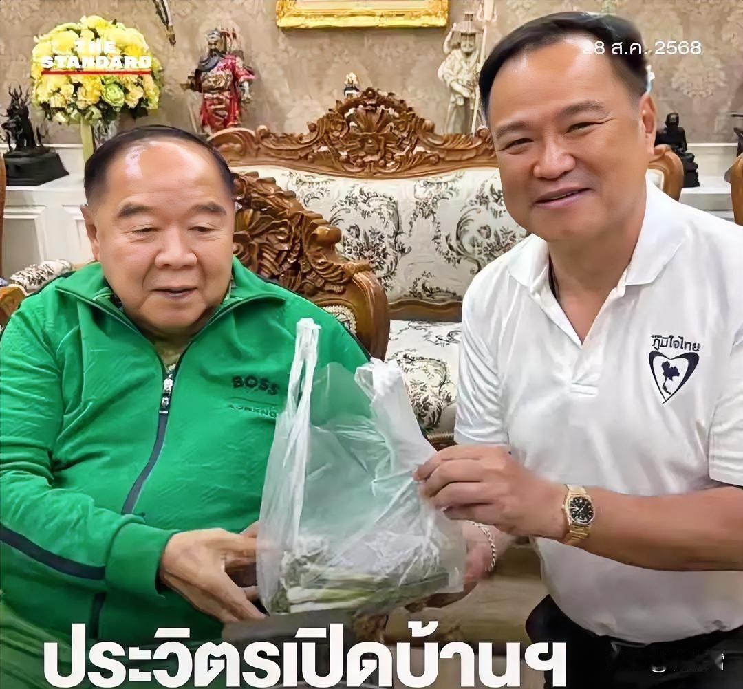 阿努廷为了获得巴逸的支持，主动去拜访巴逸，关心他近期的身体恢复情况。还给他送去一