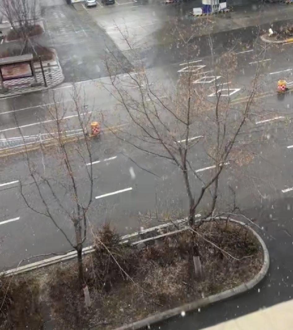 春雨
 
绵绵的春雨悄然洒落，轻柔细密，无声无息。细雨如丝，笼罩着大地，洗去冬日