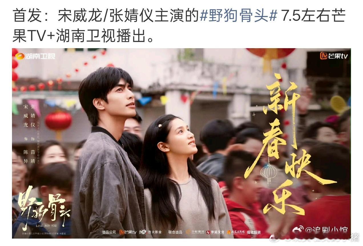 宋威龙张婧仪野狗骨头七月播出，暑假档好啊