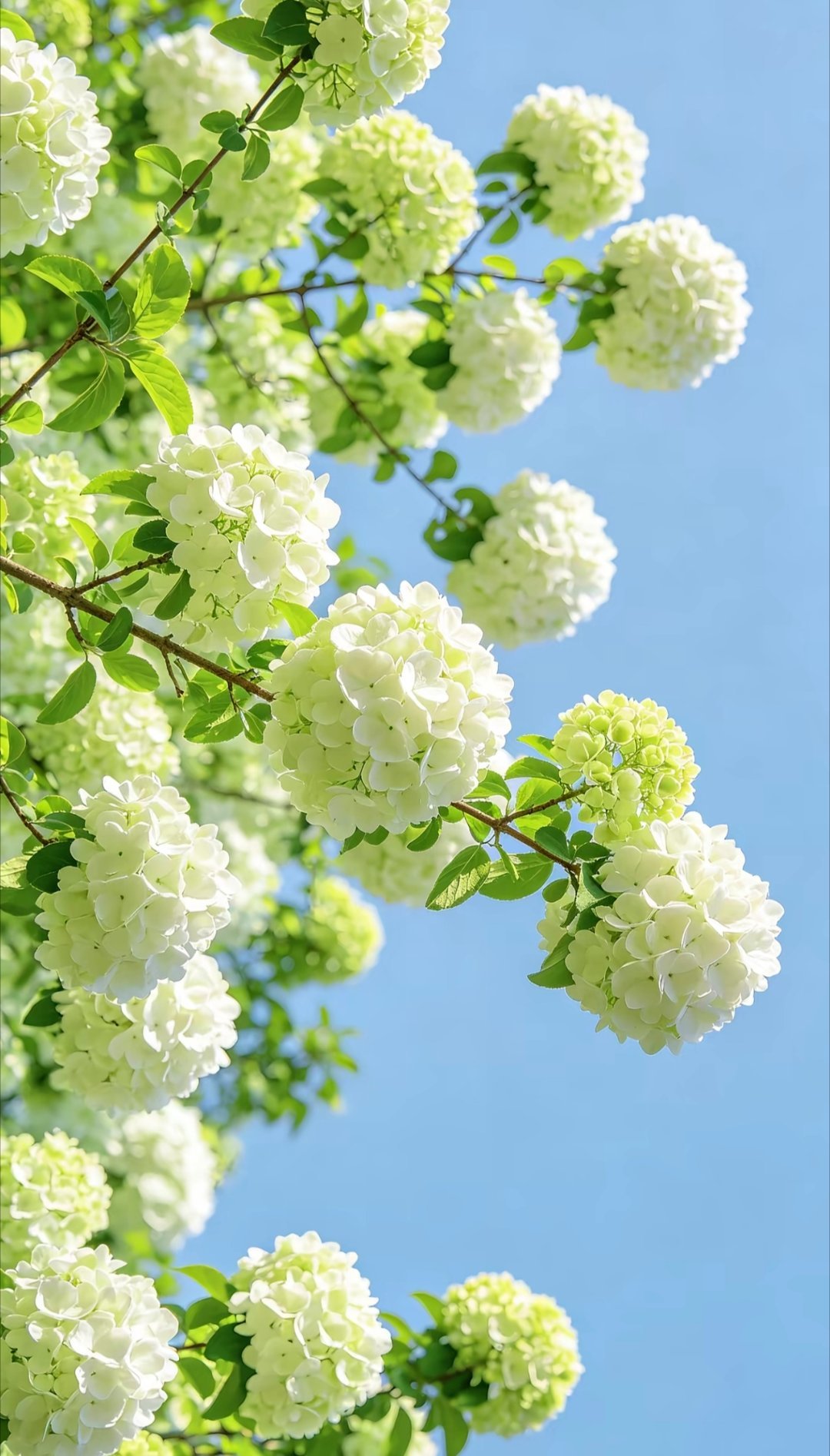 日行一善日行一善 只要心向阳，不管黑暗，走到哪都光明；只要心胸开阔，不管世界再小