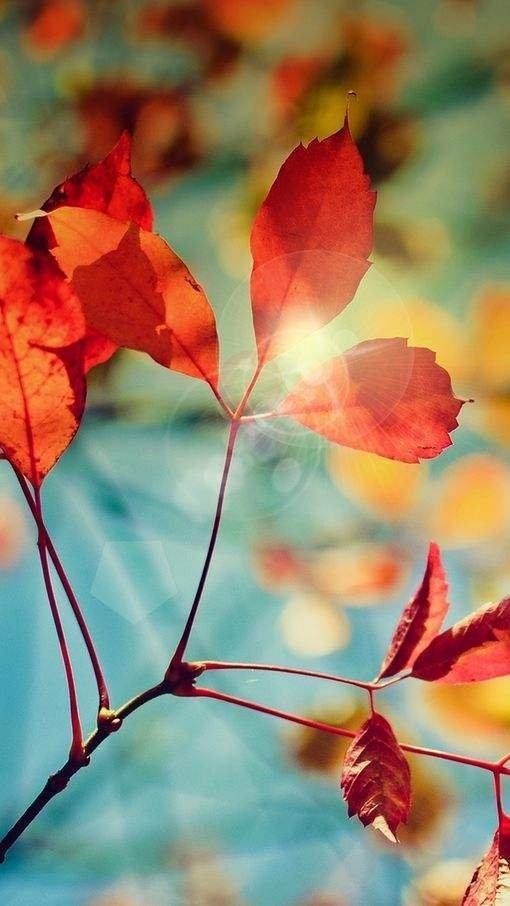 永夜星河事出必有因，有因必有果。不要合理化自己的过错，将一切不顺己心、不如己意之