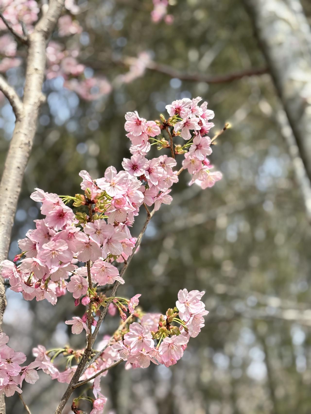 说出来有点不好意思，同学约吃饭，我正在考虑是不是要逃单？

下周有个外地同学来北