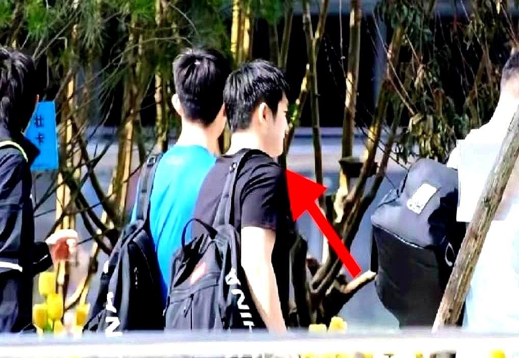 樊振东走了，去德国打球了，可让人意想不到的是，才去了仅仅不到10天，他又回来了。