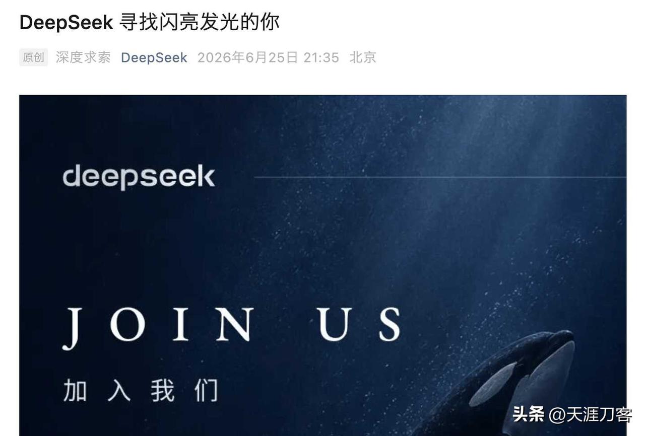DeepSeek不找天才，510亿后全岗招连实习生

拿了510亿的DeepSe