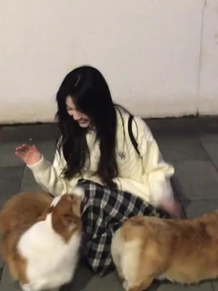 谢谢你光顾 我的小怪物