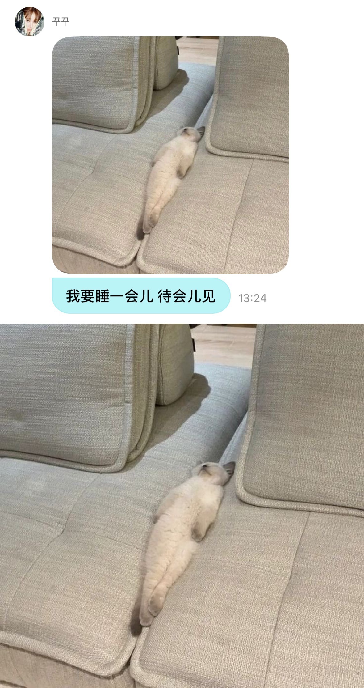 主动猫塑自己的爱豆怎么样🐱 ​​​