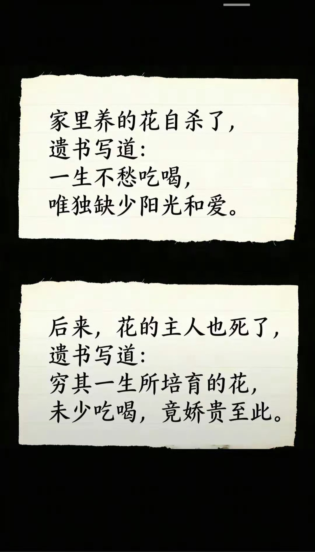 你的好，它不知道它的心，你不知晓带着误会，一直到老