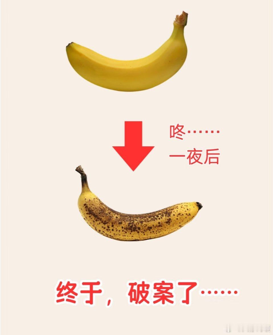 香蕉竟不能放冰箱？真相来了！ 你是否曾好奇，为啥香蕉放冰箱隔夜表皮就发黑？这背后