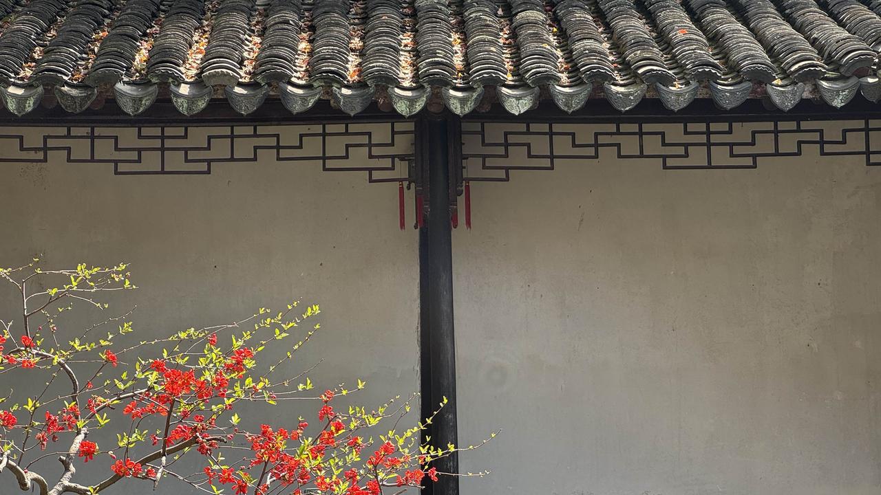 风揉暖意，春漫人间，赴一场温柔的春日烟火。闲时漫步街巷公园，看海棠缀枝、繁花盛放