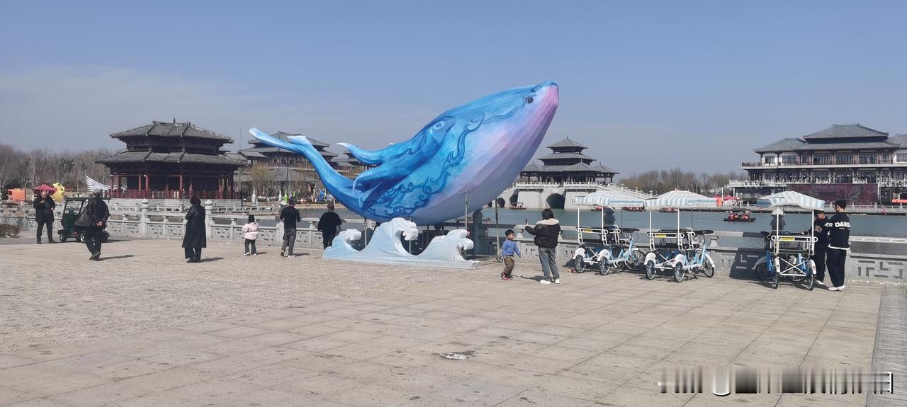 发一张图片，让我猜出你在哪里拍的