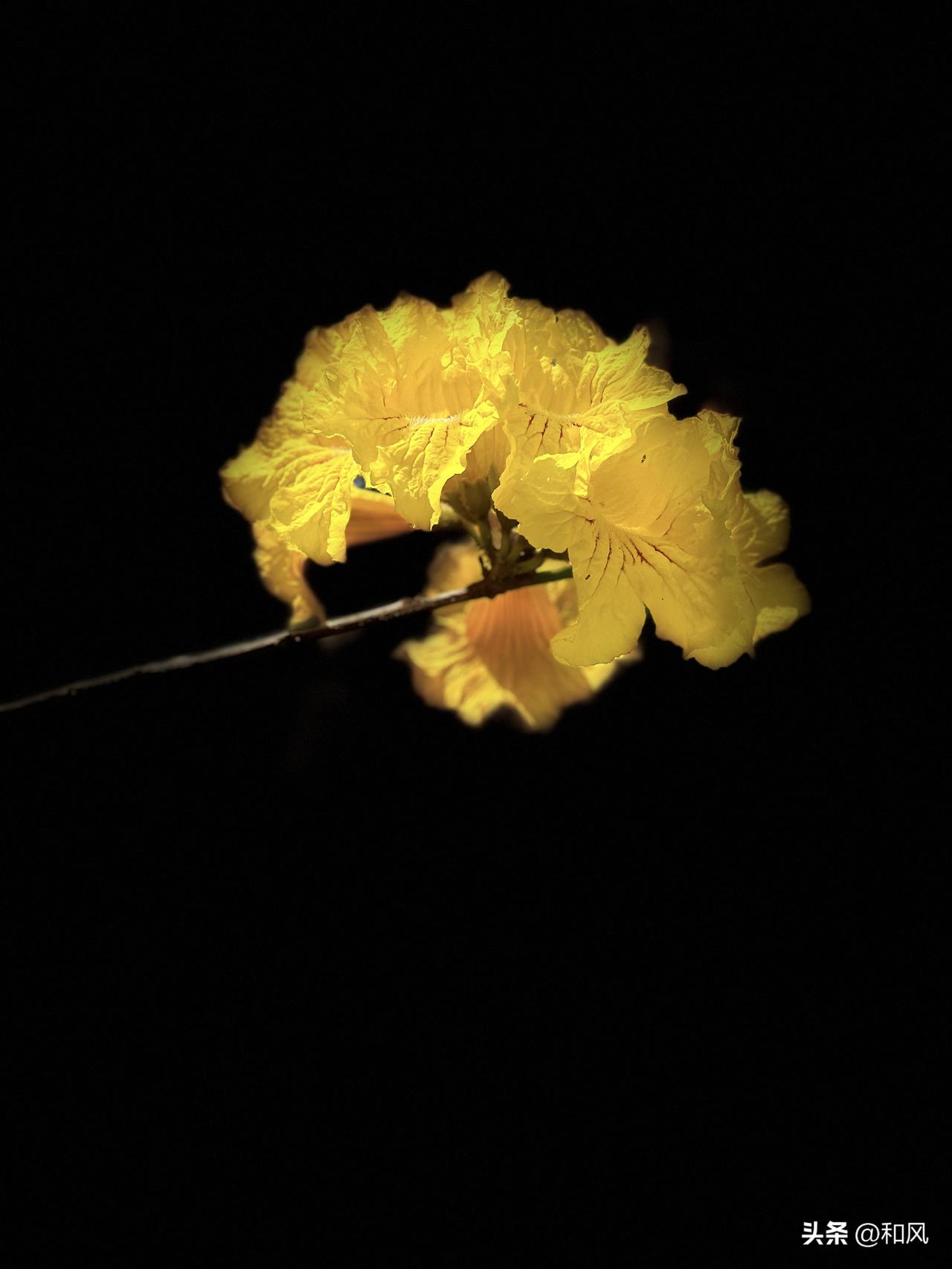 有人在问：存款利率,对我们的影响是什么?

存款利率的高低，对我们的影响太大了，