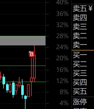 开盘没有打下了2个涨停没有买到，一个10米，一个20，太难了

这个行情就是低开