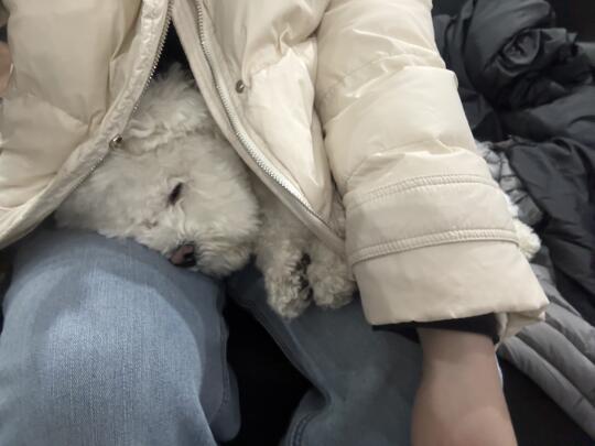 我是人形帐篷吗？
