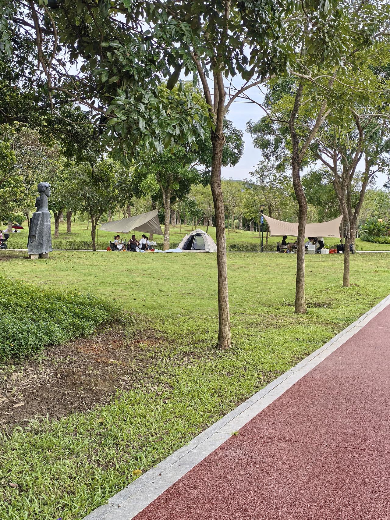 谁说中国人不懂得享受生活？
目前雨声坐标在东莞大岭山同沙生态公园，前面是一片种满