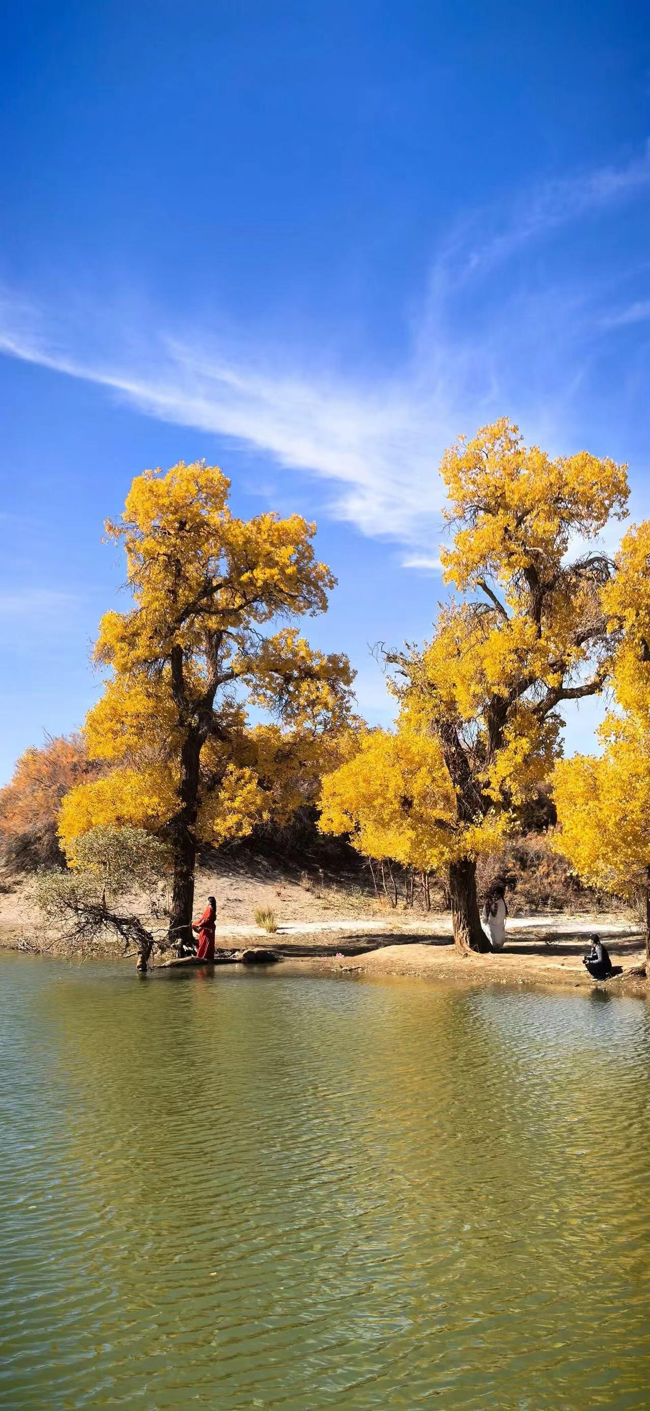哪个星座天生招财
后面也会越来越有钱
答案就是天蝎座天蝎 我眼中的天蝎座