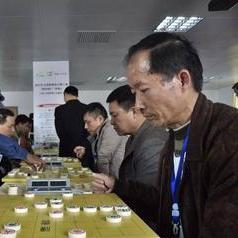 民间顶尖棋手和职业特大，差距到底有多大
经常有人问，民间的顶尖棋王，和职业特级大