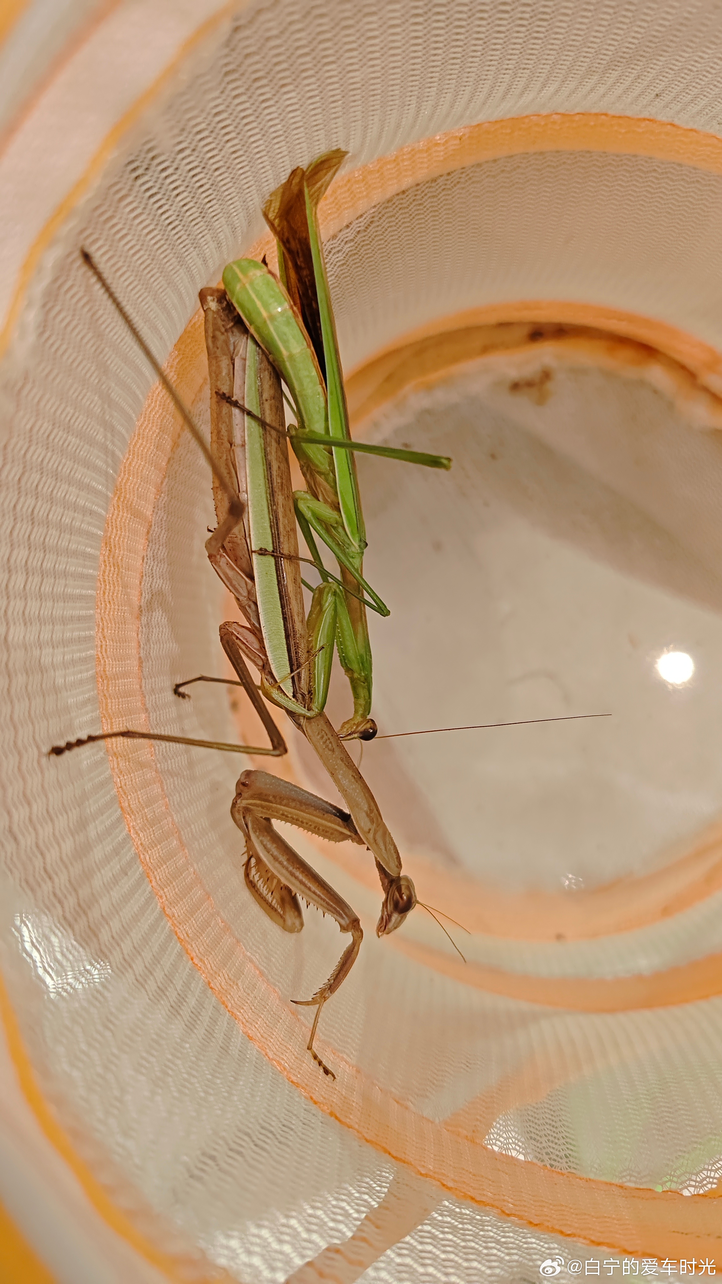 记得去年秋天，我儿子突然跟我感叹了一句，山东女人真厉害！我一惊！这是被山东女孩怎