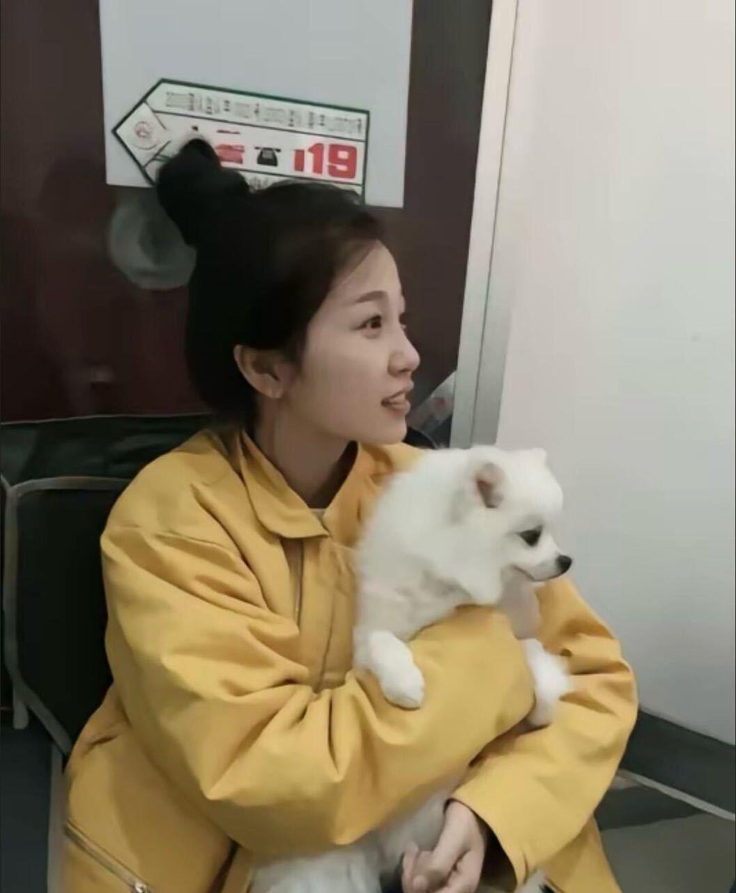 和小动物‖虞书欣★ 