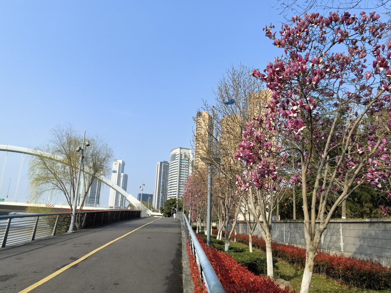 一大早就接到朋友的微信电话，焦虑的说，“怎么办啊，我昨晚一夜没睡，英国爆发脑膜炎