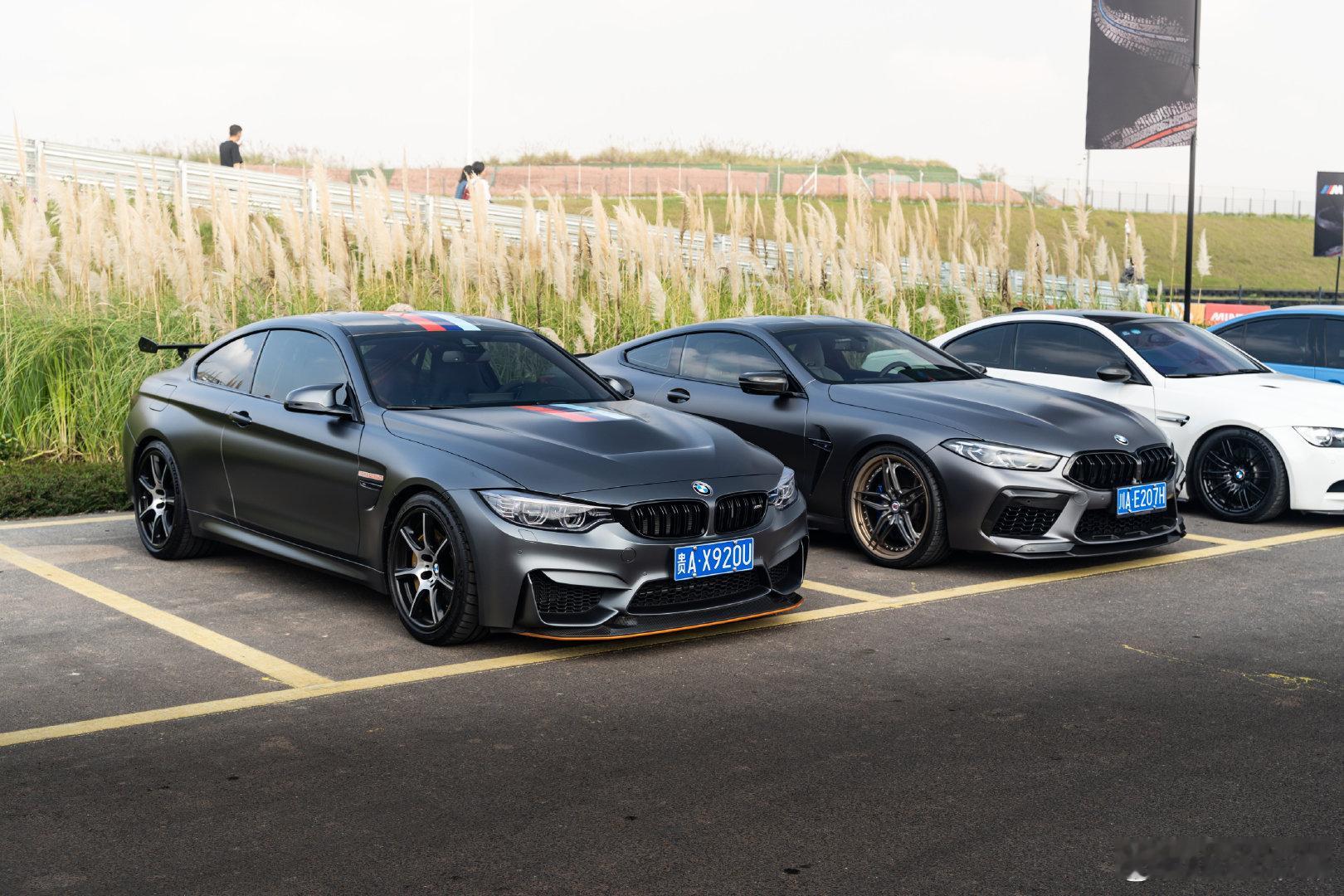 BMW M4 GTS & M8C宝马嘉年华入口旁的狠货2022年第一次拍到这台M