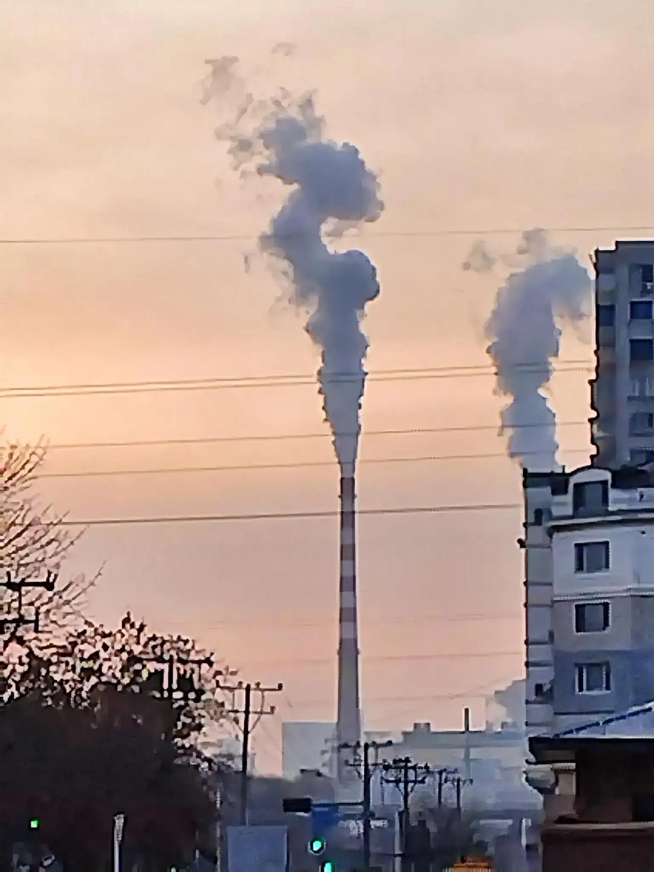 七绝  无题  早上遛狗远望大烟囱喷云吐雾有感
不是大漠烟如竹，
不愿学那成熟谷