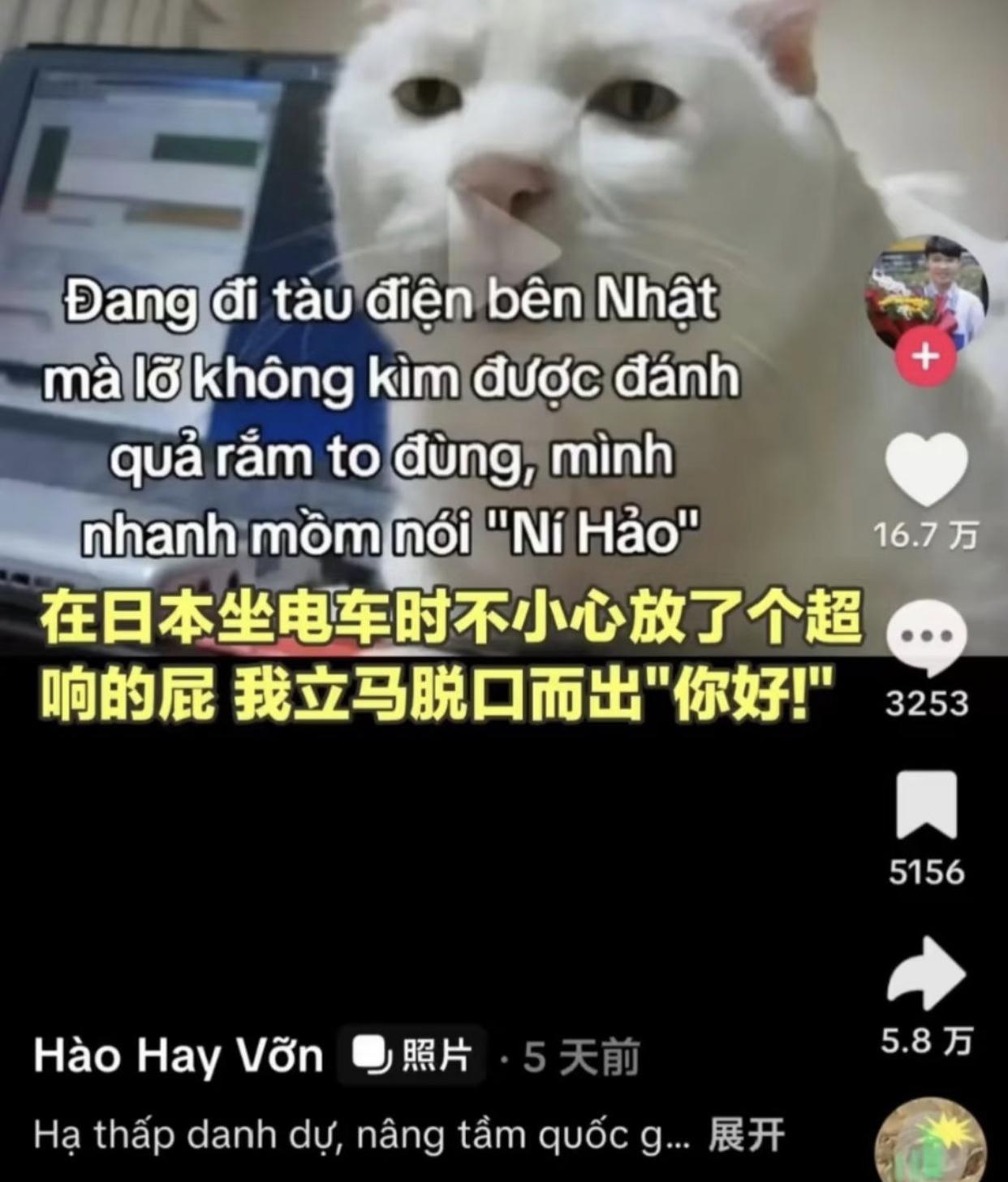 越南人和韩国人在国外做了坏事，就说几句蹩脚的中国话，冒充中国人，直接往中国人身上