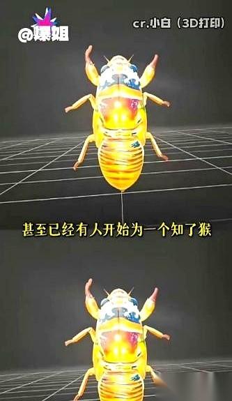 我跟你讲，今年夏天在山东抓知了猴，已经不是个技术活儿了。
是科幻片。
你大爷还是