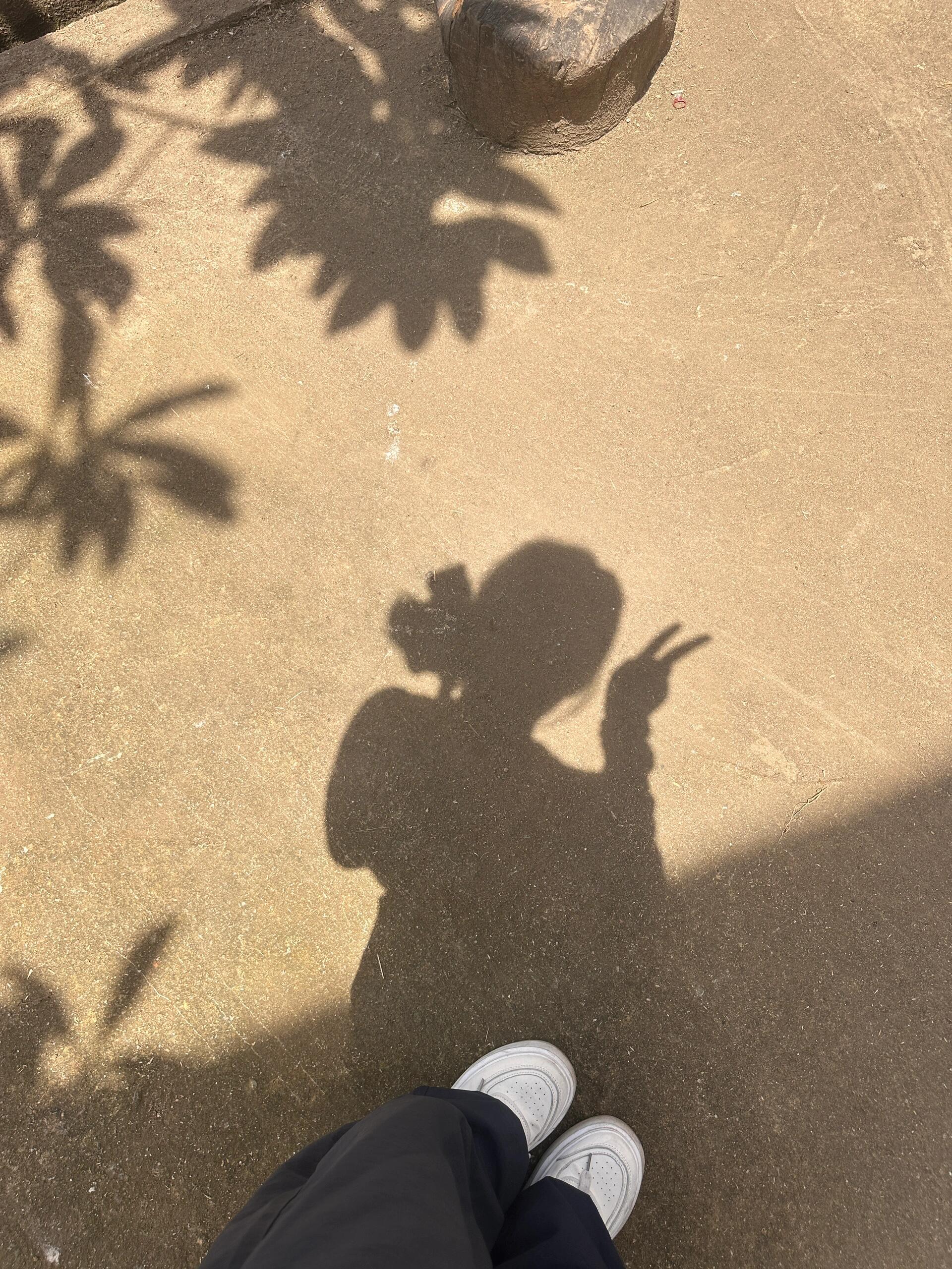 五月的天 ​​​