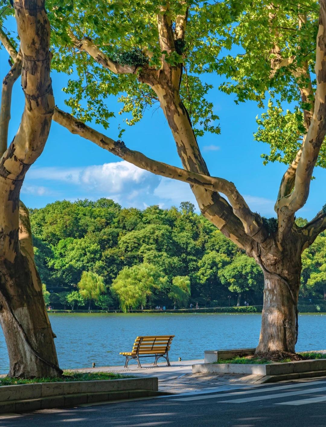 达到60分 
你就是幸福的人!
一、没有外债。10分。
二、孩子是原配的亲生。1