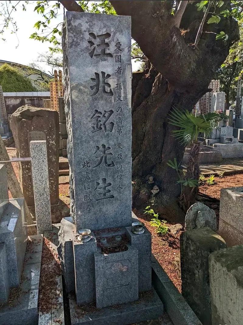 日本人是真狠啊！他们在汪精卫位于南京的墓被炸了之后，居然在日本东京杉并区宗泰院，