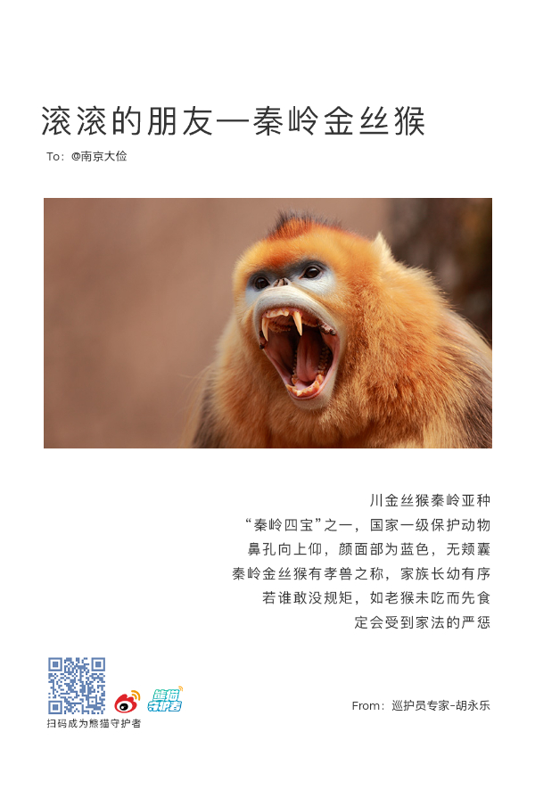 熊猫手信 我是今日第142位红外相机照片兑换者，守护者们累计兑够5万张就能募集到