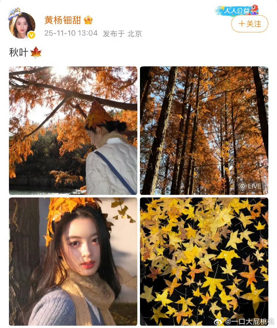 黄杨时隔半年更博了 ​​​