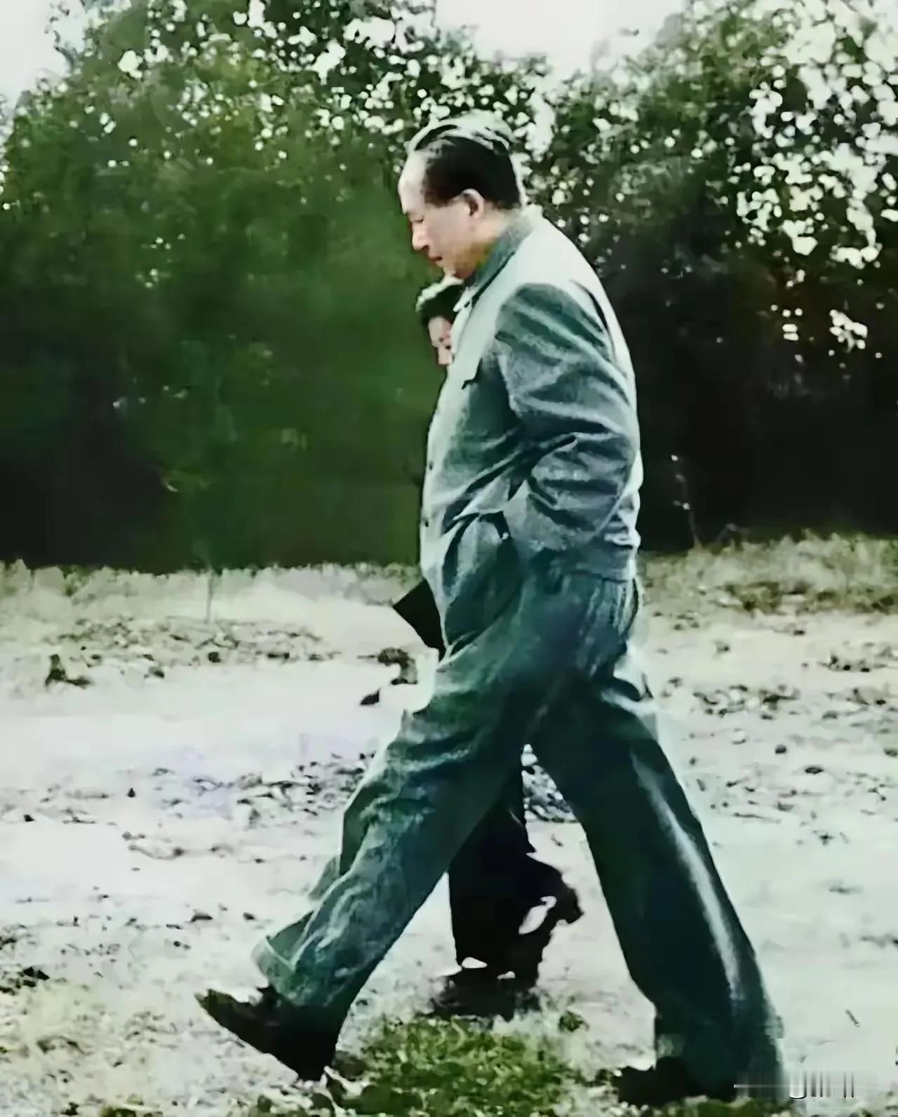 “不管风吹浪打，胜似闲庭信步”。
看到毛主席的这张照片，使我想起了毛主席的一首诗