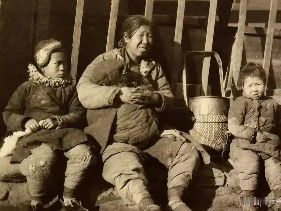 乾隆时期，江南地区不少原本种植水稻的农田都改成了种植蚕豆。
倒不是因为蚕豆更值钱