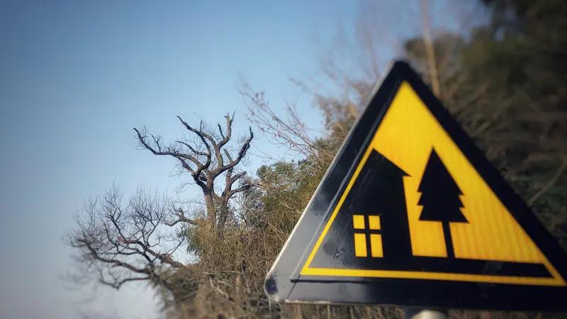 性格会决定人生吗？我觉得不会完全决定，但影响重大。
外向的人社交场合如鱼得水，人