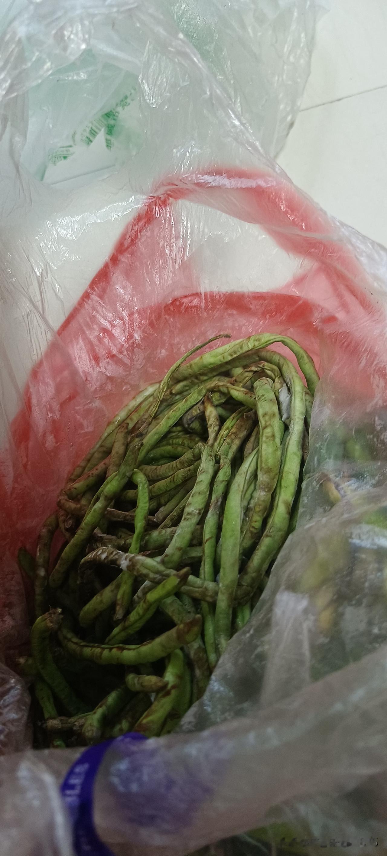 山东人的这个季节，餐桌上是绝对离不开豆角子的。
这不前几天豆角子便宜，才5毛钱一
