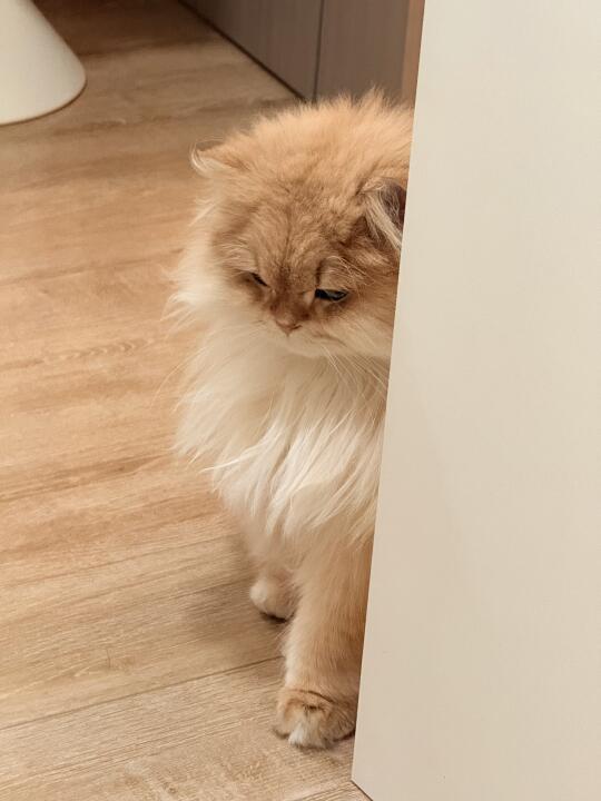 不知道在气什么！