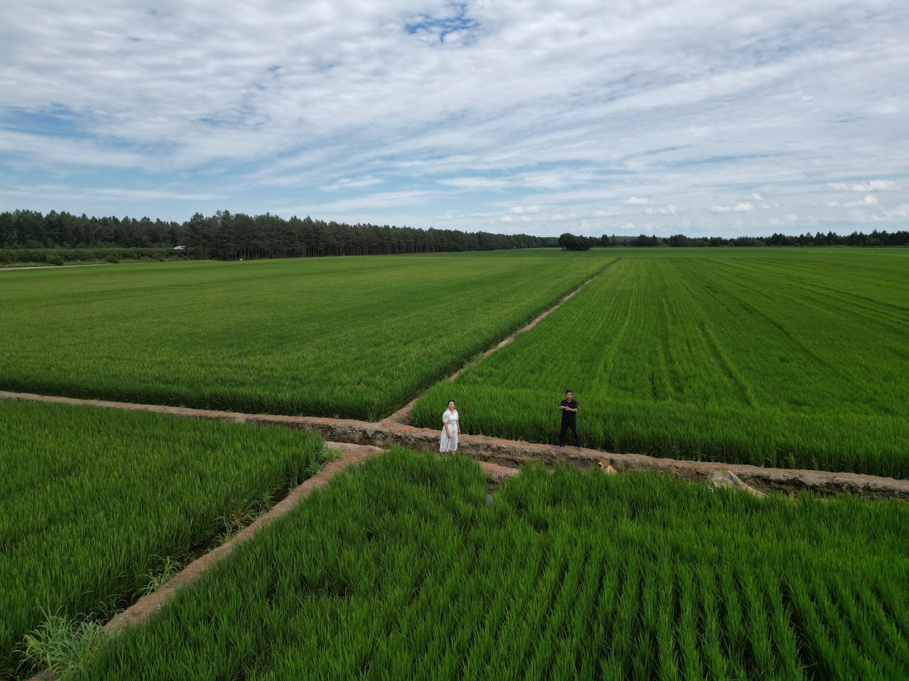 2025年7月22日
环国行摄第17天：饶河县-绥芬河。行驶565公里。
1.路