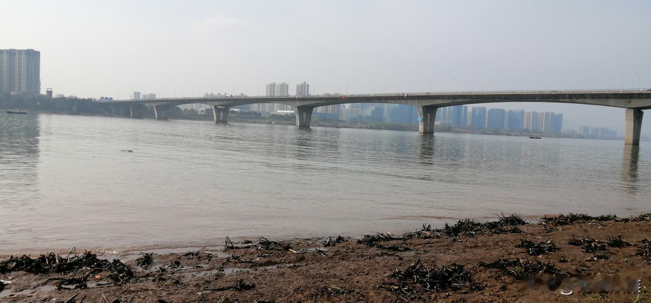 昨天我给一篇微头条投放了1000个加油包，那是前一天的数据出来后，我看流量还可以